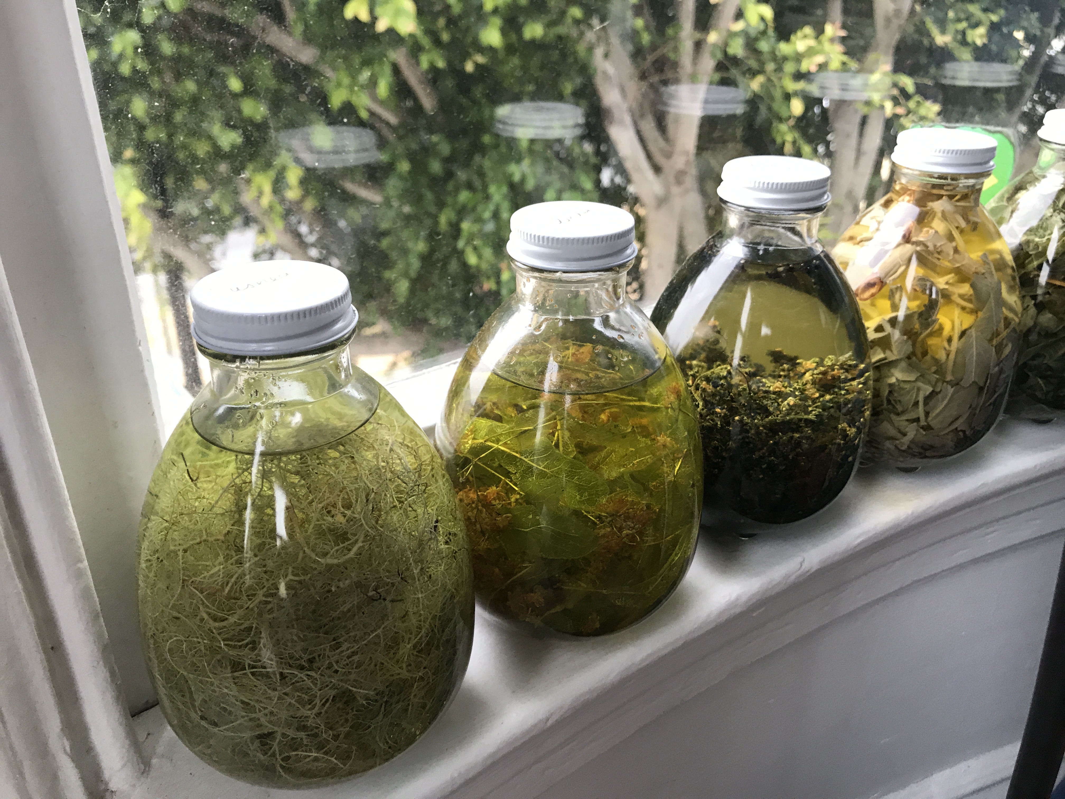 Herbal tincture jars steeping on a sunlit windowsill