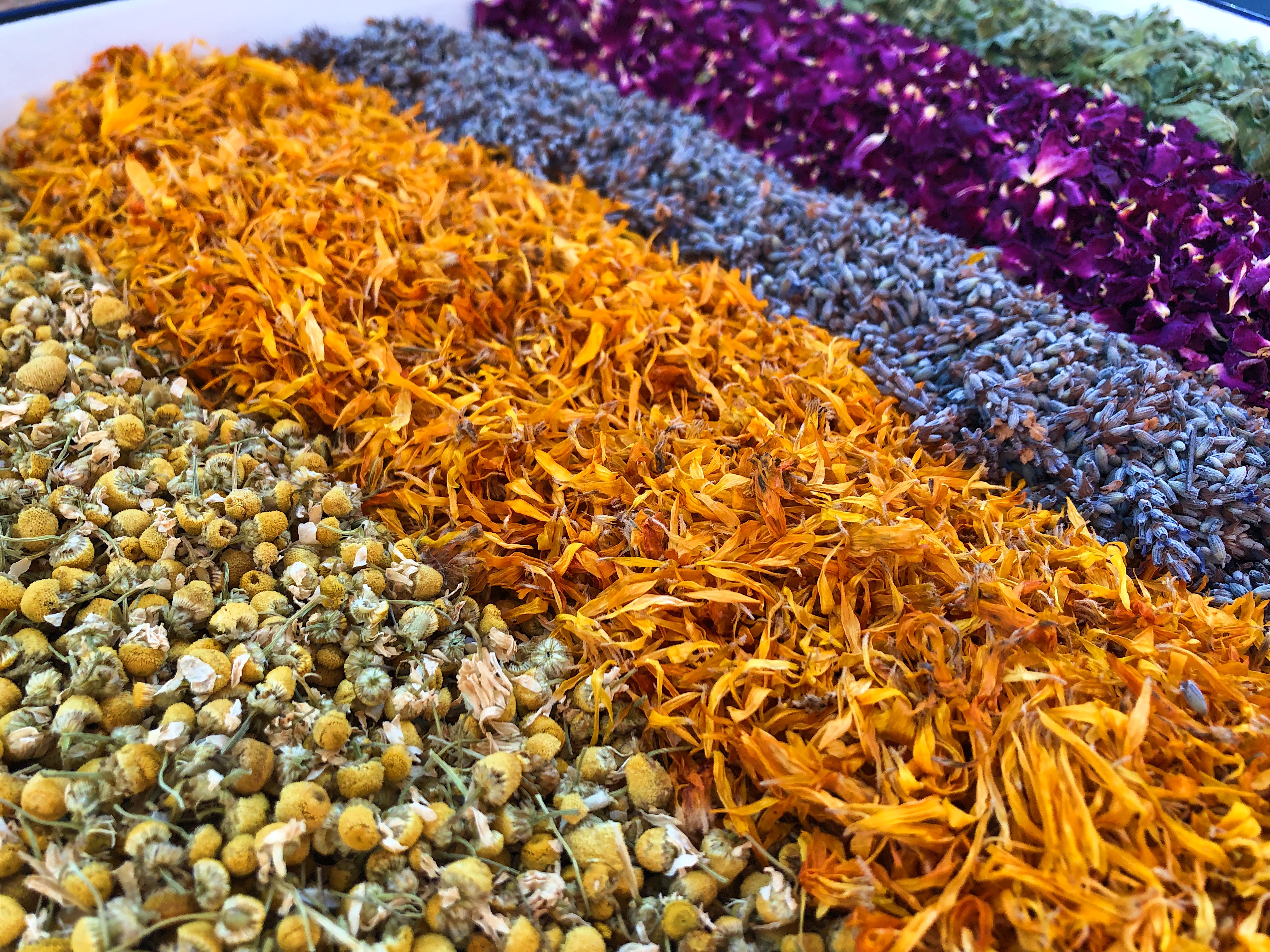 Dried calendula, lavender, chamomile, and rose petals sorted for blending